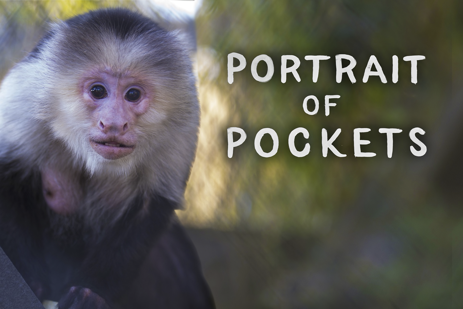 Portrait of Pockets